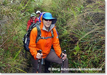 Terri and the team hiking through the vegetation