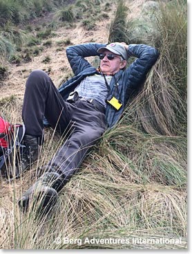 Howard resting in style; cozy grass, great view!