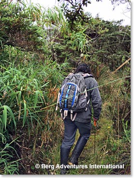 Doreen’s guide, Patricio Pillajo, led the way with a machete.