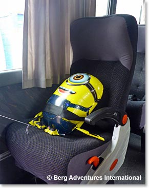 Bob, the newest member of the team, is safely buckled in for the drive to Refugio