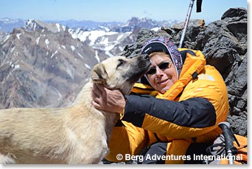 Chris always rescuing a dog, even at high altitude 