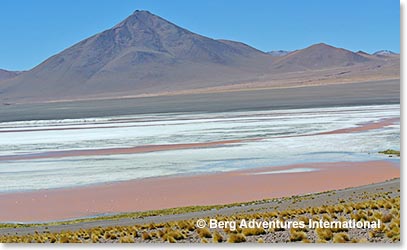 We finally arrived at Laguna Colorada.