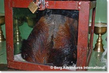 We saw the famous “Yeti Skull”, which is kept at Khumjung Monastery .