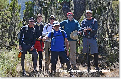 Team at the top of the forest on Kilimanjaro