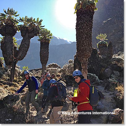 The morning of Aug 3, we donned climbing helmets and started out early to climb over the Great Barranco Wall.
