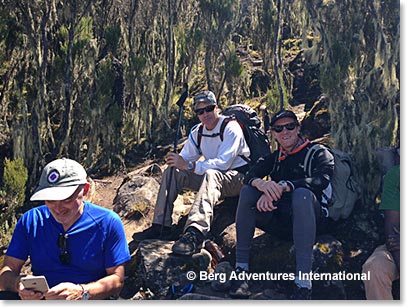 Our route was the Umbwe, know to be the hardest on the mountain, but Frank, Tony and Tim were relaxed at a break along the trail.