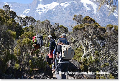 The second day saw us climbing out of the forest toward Kili’s imposing Breach Wall.