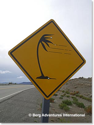 Signs along the highway to El Chalten