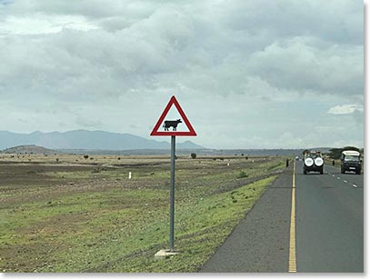 East African landscapes on the way to Tarangeri 