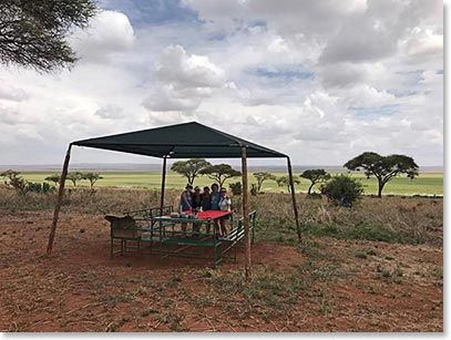 A conveniently located picnic site that allowed us to get out to the Land Cruiser for a bit  