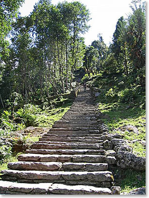 Over 2000 steps to Chomrong!  The Annapurna version of the Namche Hill ( Everest region)
