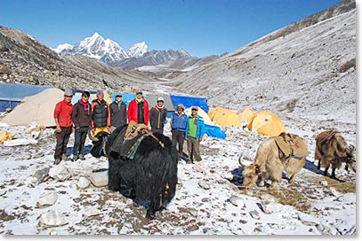 It takes at team! The entire team, including Yaks, at Island Peak Base Camp