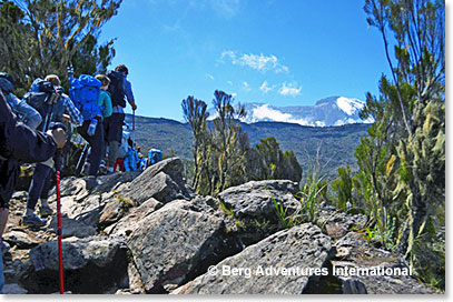 Climbing Kilimanjaro