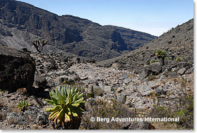 First views of the Barranco Wall