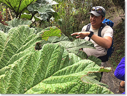Joaquin described unique plant life of the lake as we hiked
