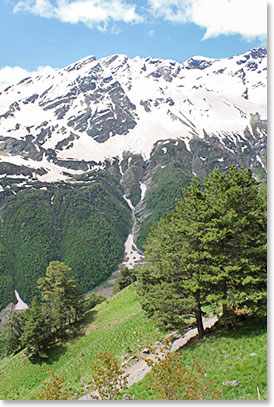 Beautiful day - we hiked for 7 hours, climbing to the observatory above the village of Terskol, weather was beautiful and we knew that we'd had some exercise by the time we returned to Terskol at the end of the day!