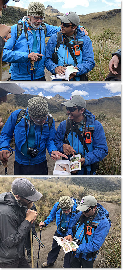 Henry and Joaquin checking the guidebook.  We had it out all day identifying plants 