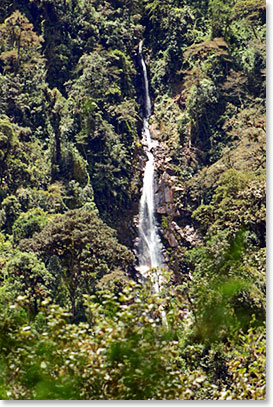 One of the waterfalls which goes to Papallacta River then to the Amazon jungle