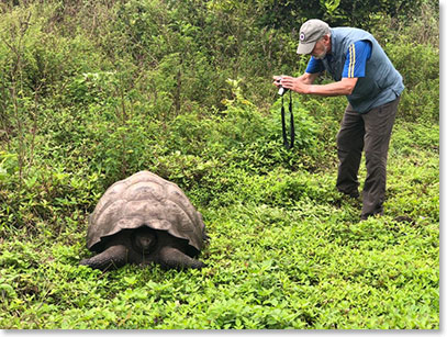 Henry catching a photo of a giant tortoise at Cerro Mesa, Santa Cruz Island