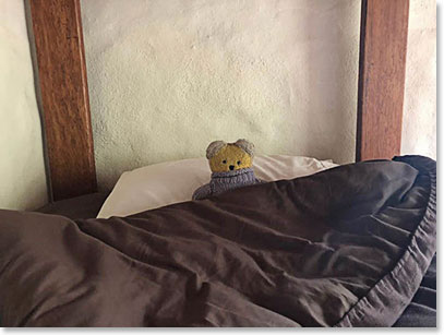 Bed time – Teddy is ready for a good night sleep