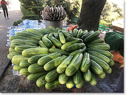 Great healthy snacks on the road