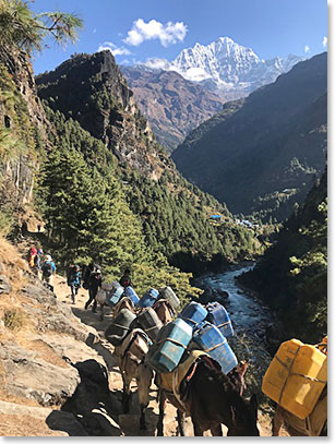 Our gear being transported to Namche