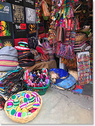 Downtown La Paz and Market of Witches
