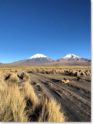 Arriving at Sajama National Park