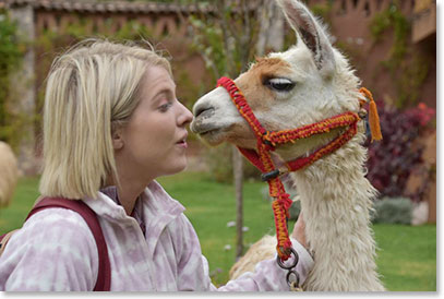 Christine gets a kiss from a Lama at our lodge in Lamay