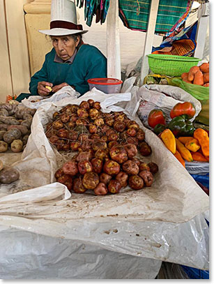 Frozen potatoes transported from the mountain for sale at the Cusco market