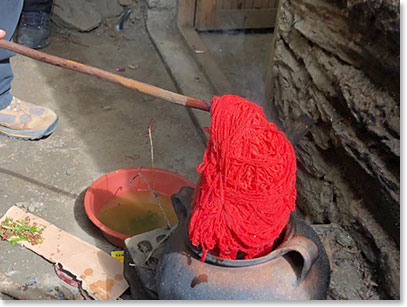 Local lady demonstrating how to die alpaca before weaving