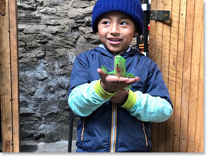 Local boy playing with his toy – an iguana